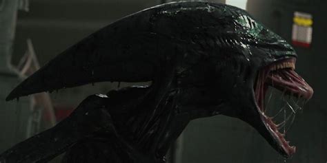 does prometheus have xenomorph.